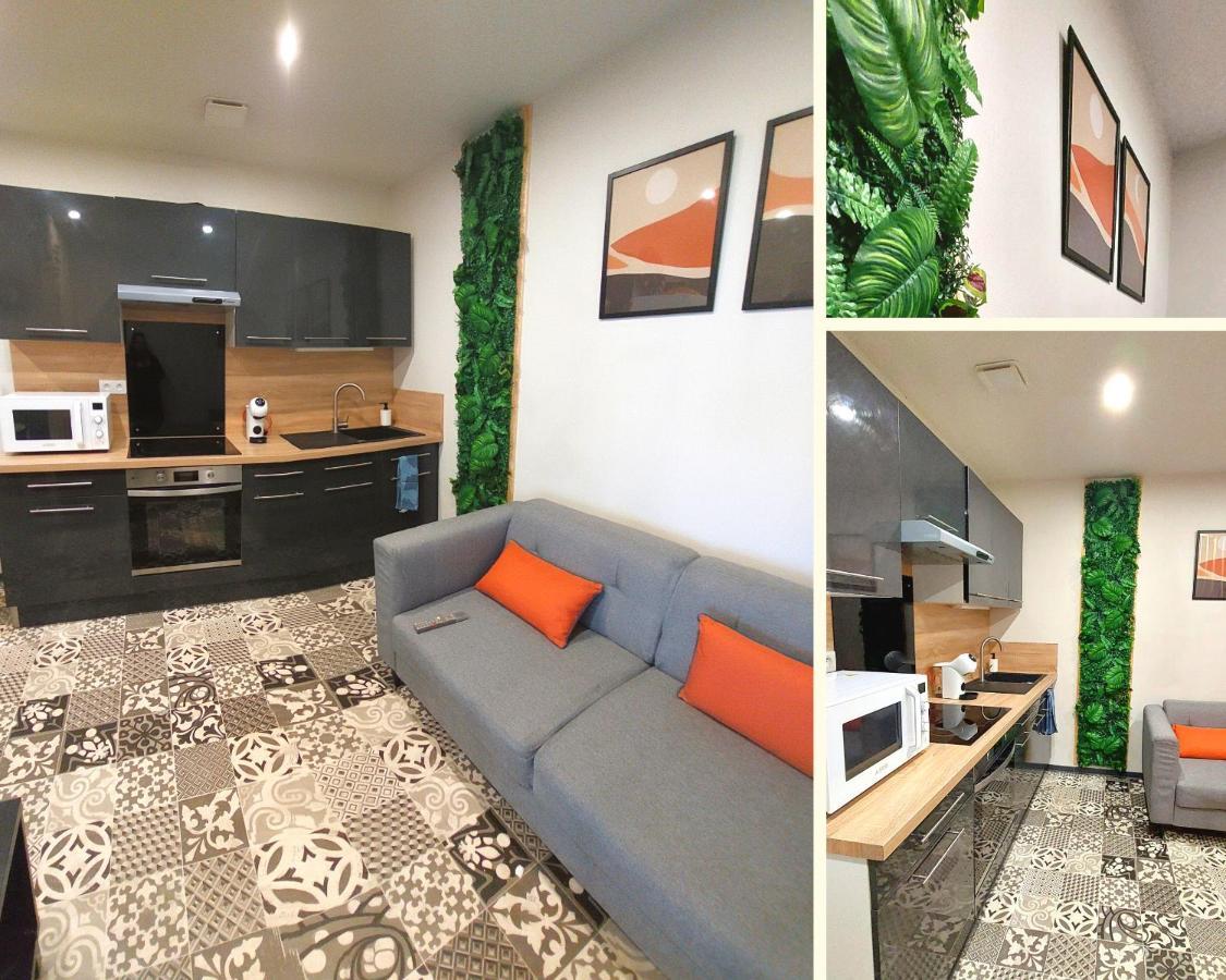 Artgrey * Ideal Pro * Roanne Secteur Gare Et Rue Pietonnes Bagian luar foto