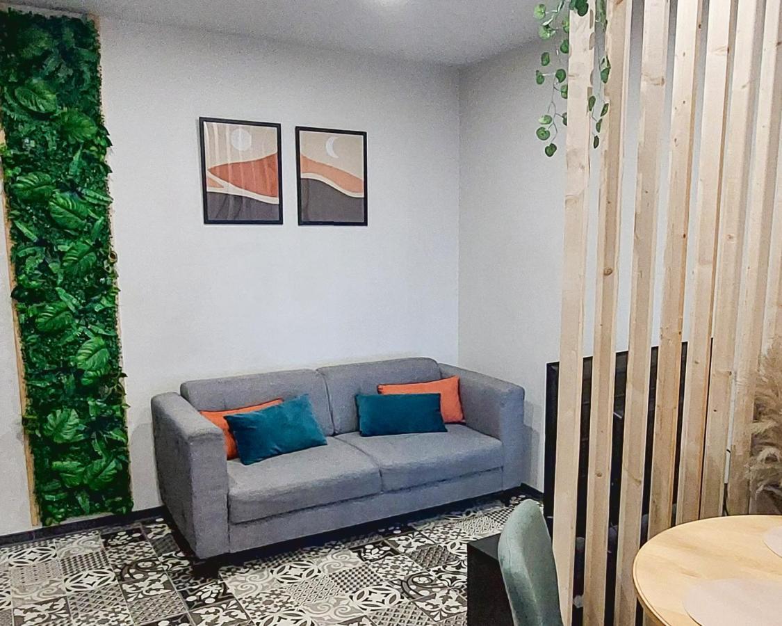 Artgrey * Ideal Pro * Roanne Secteur Gare Et Rue Pietonnes Bagian luar foto
